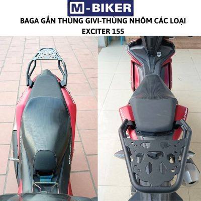 Baga sau Exciter